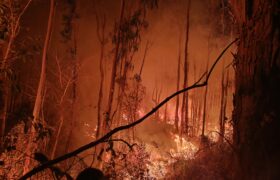 Forest Fire Mitigation 1 (1)