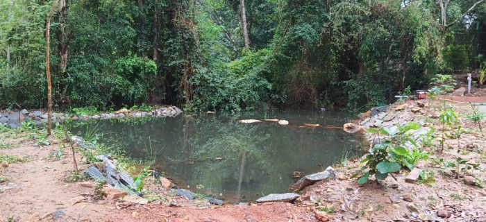 Waterbody Restoration